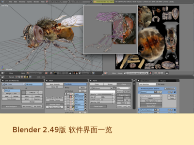 Blender 2.49