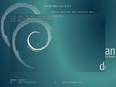 Debian_jessie_Live_uefi_gpt4.PNG