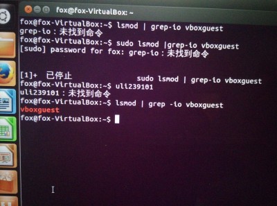 lsmod | grep -io vboxguest使用命令后的情况