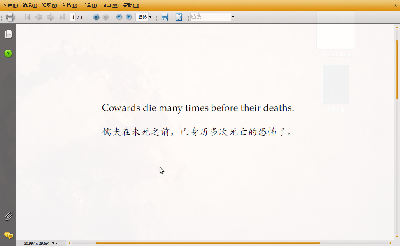 Screenshot-test.pdf - Adobe Reader.png