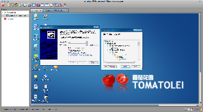 Screenshot-Windows XP Professional - VMware Workstation.png