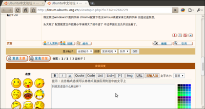 Screenshot-Ubuntu中文论坛 • 查看主题 - 找到chrome中文字体发虚的可能原因！ - Chromium.png
