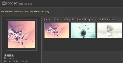 googel的网上图片管理工具Picasa，和Flicker很像。其实Picasa是有linux版的，在googel实验室里有，不过是英文版的，对中文名不支持