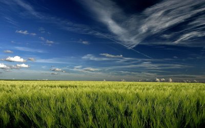widescreen-wallpaper-1.jpg