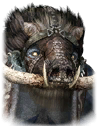 stlxv头像.png