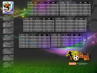 FifaWorldCup2010B.jpg