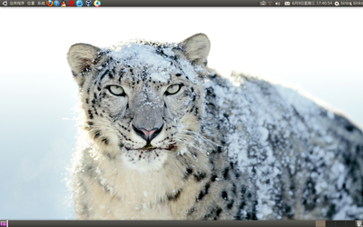 Ubuntu雪豹.png