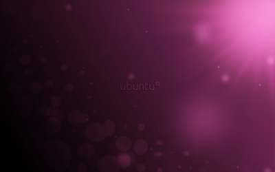 Lucid-Wall-01_C_logo.png