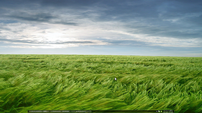 openbox+tint2 ……