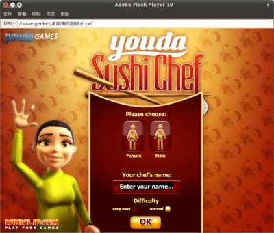 Adobe Flash Player 10_012.png