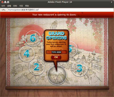 Adobe Flash Player 10_013.png