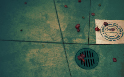 widescreen_003.jpg