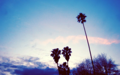 widescreen_pack_11_002.jpg