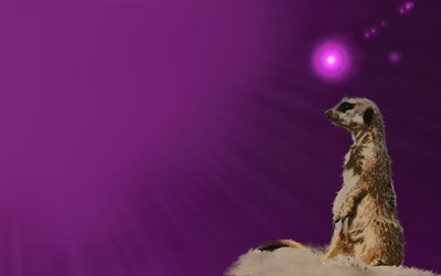 133667-ubuntu_10.10.1.jpg