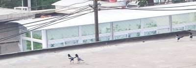 100_0765.jpeg