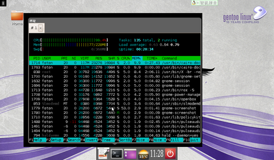 更新：使用cairo-dock+fcitx的资源占用情况