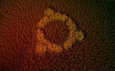 ubuntu_hair_0001.jpg