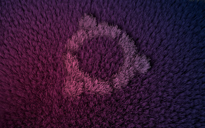 ubuntu_hair_0002.jpg