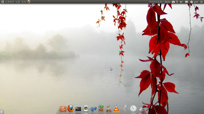 ubuntu10.10.png
