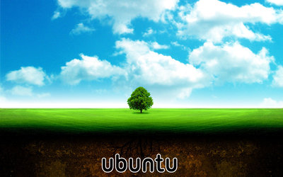 fondo_ubuntu_arbol.jpg