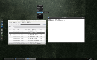 2011-01-27-082645_1280x800_scrot.png