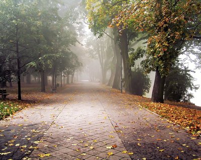 Park.jpg