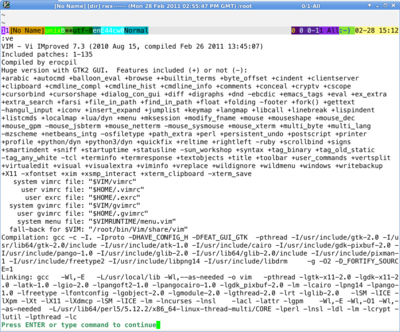 vim_version