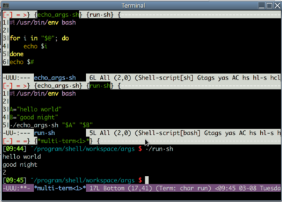 bash echo args