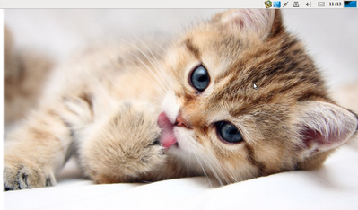 clean.png
