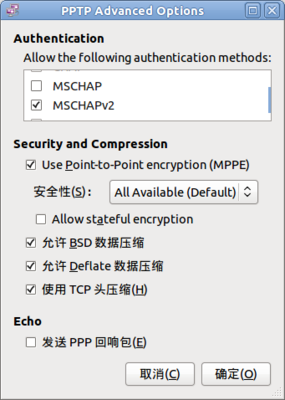 Screenshot-PPTP Advanced Options.png