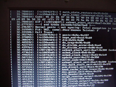 Kernel Panic!!! (1)