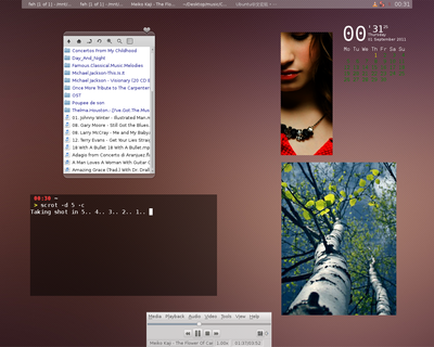 2011-09-01-003126_1280x1024_scrot.png