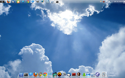 deepin-gnome-shell.png