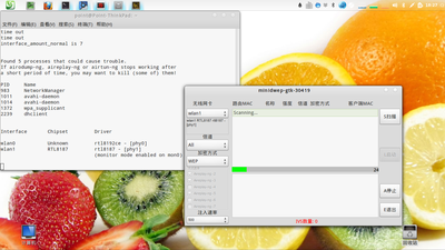minidwep-gtk-1.png