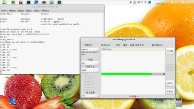 minidwep-gtk-2.png