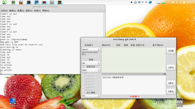 minidwep-gtk-3.png