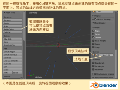 顶点沿法线移动