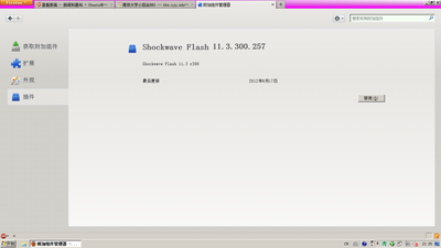 flash11.3.png