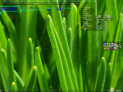2007-07-26-012550_1024x768_scrot.png
