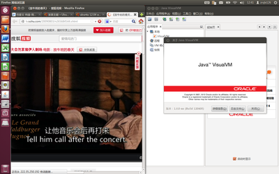orale java8及adobe flash
