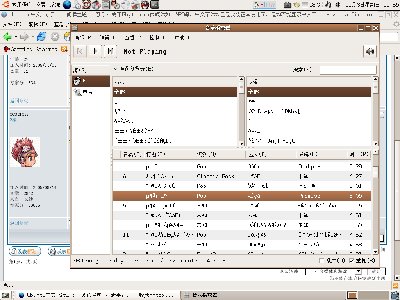 关于Rythmbox的字体问题