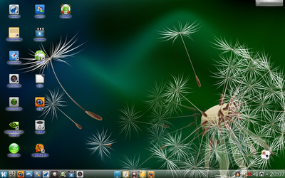 linux44.png