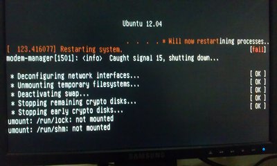 IMAG0048.jpg