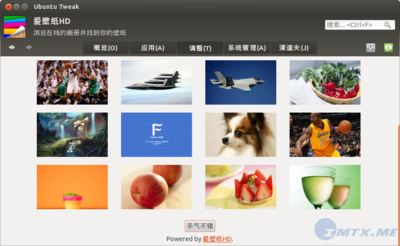 ubuntu-tweak-082-2.png