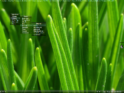 2007-08-18-124839_1024x768_scrot.png