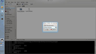 maya desktop1.png