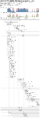 bootchart.png