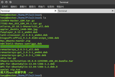 Terminal_001.png