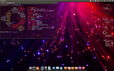 Here's the desktop on my Thinkpad T410s