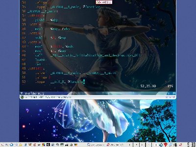 scst1.jpg